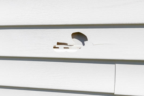 Best Demolition Debris Removal  in Lutz, FL