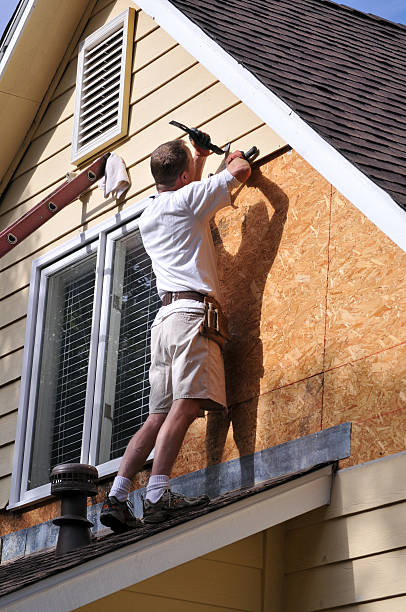 Best Construction Debris Removal  in Lutz, FL